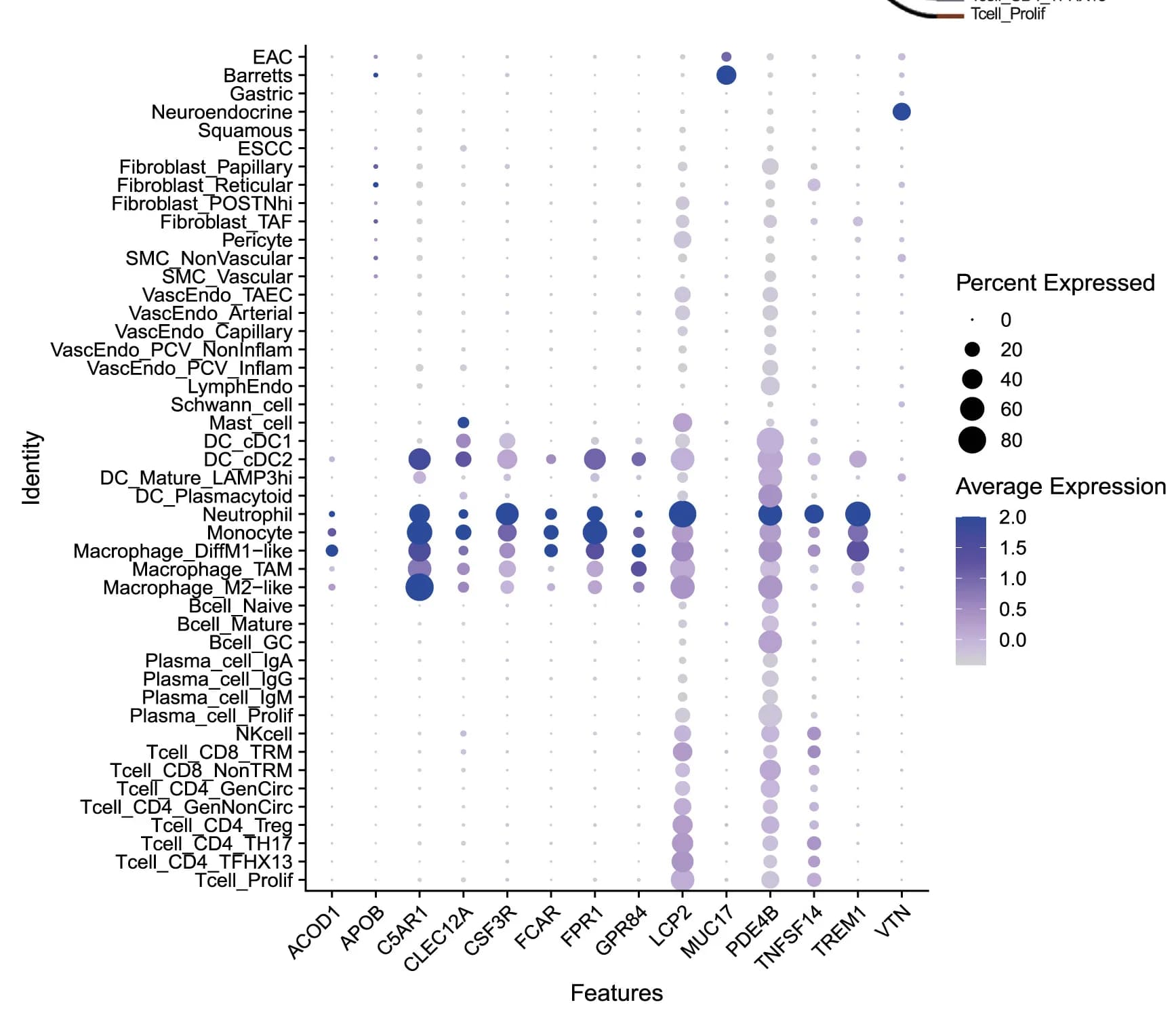 Open access visualization of Bubble Plot, Dot Plot, PreTx, CB, DEGs