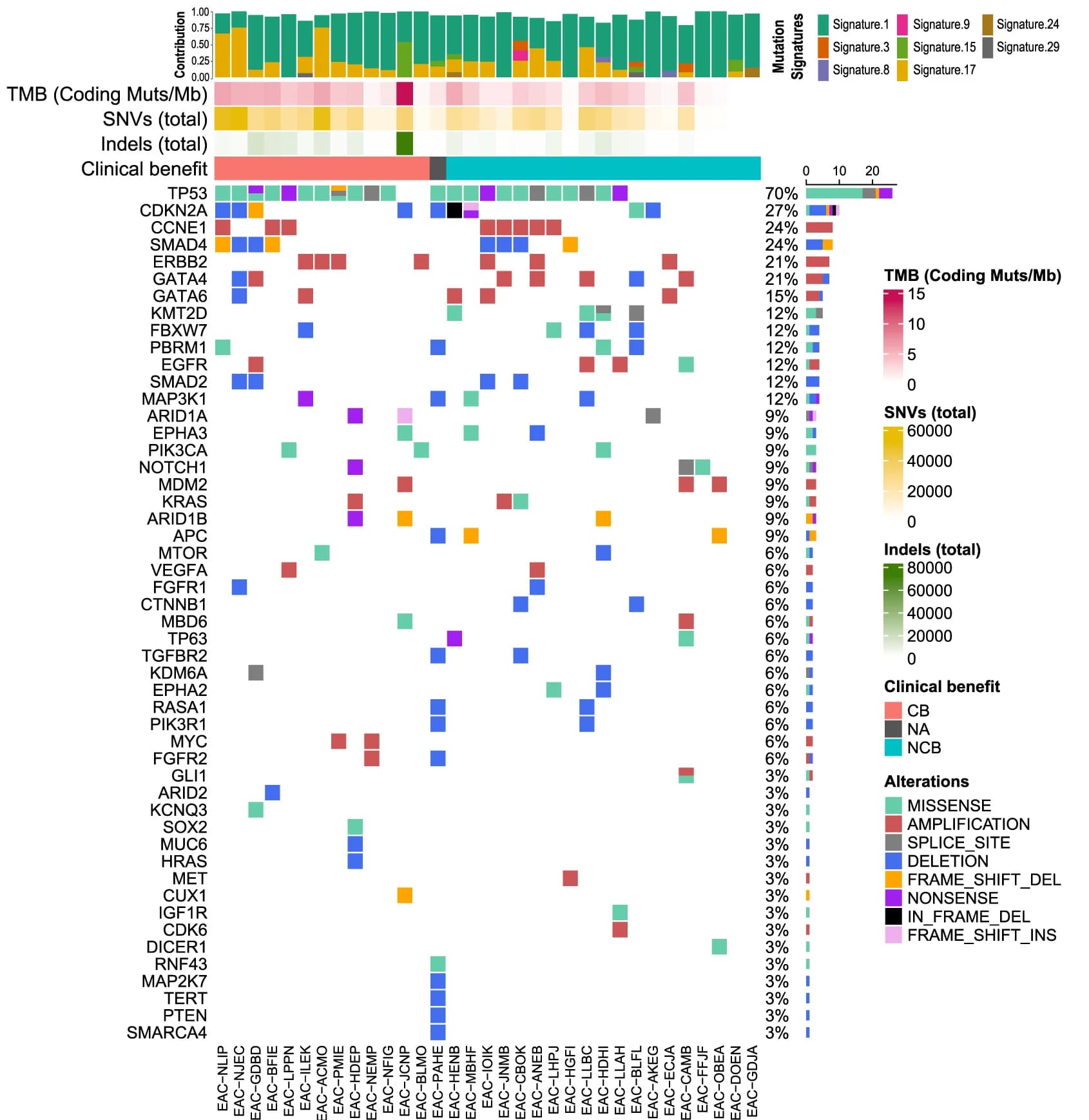 Open access visualization of Heatmap, Bar Plot, OncoPrint, Genomic Alterations, Cancer Driver Genes