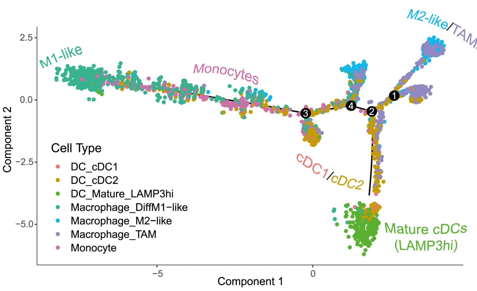 Open access visualization of Scatter Plot, Line Plot, Trajectory Analysis, Non-Mast Cell Phagocytes, Monocle2
