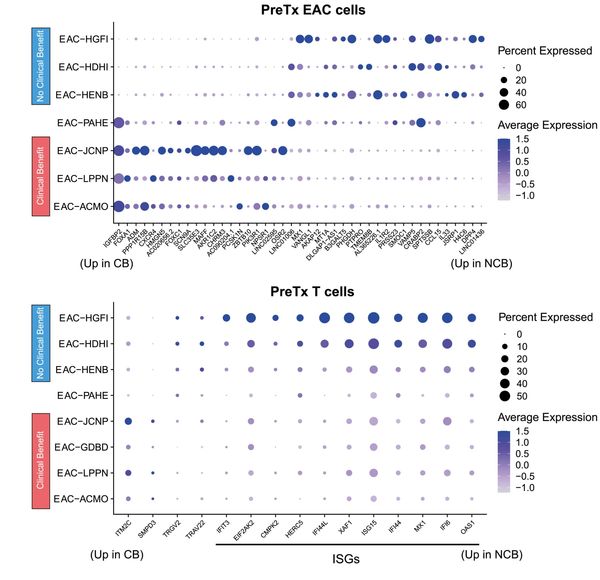 Open access visualization of Bubble Plot, Scatter Plot, Differential Expression Genes, EAC, T Cells