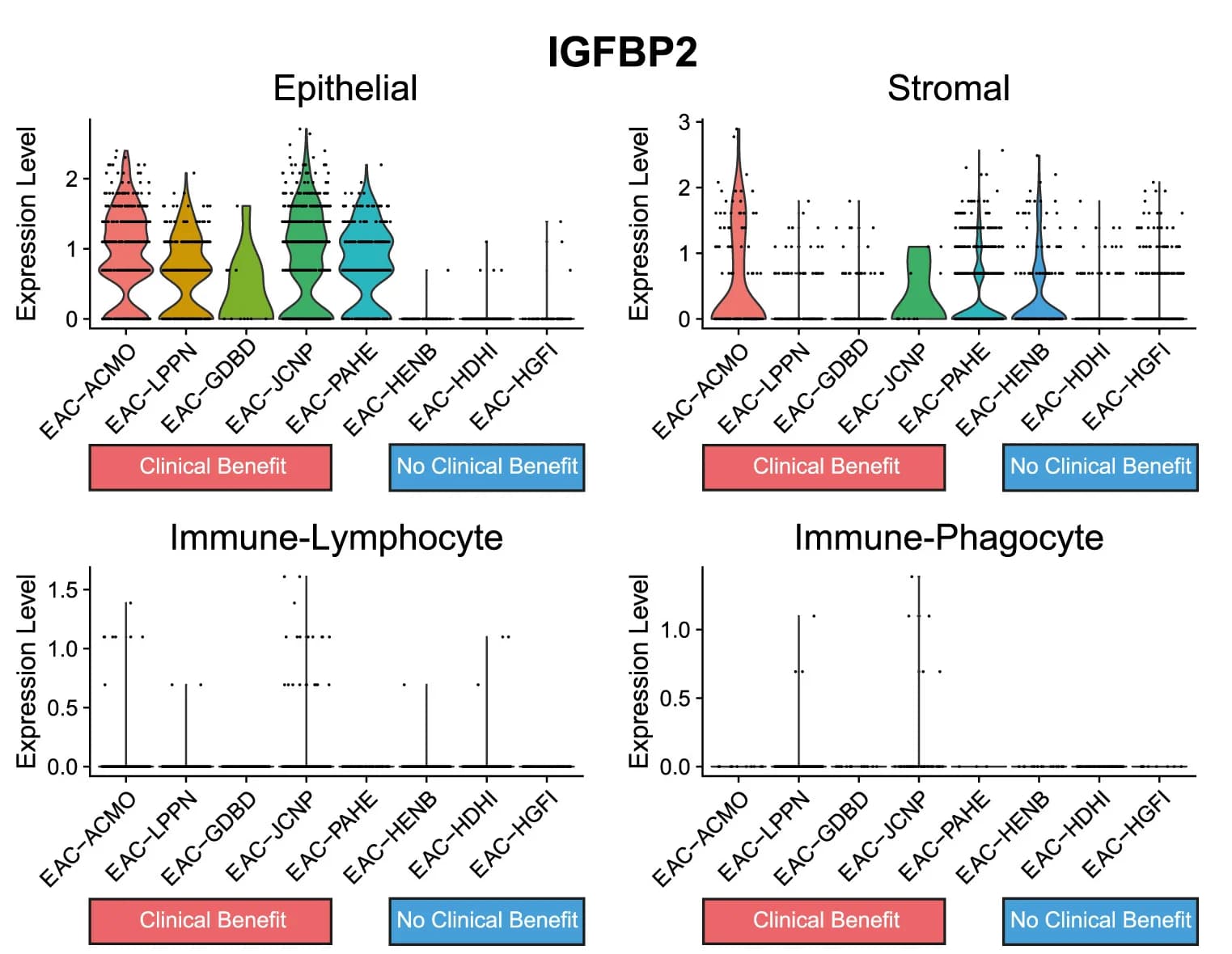 Open access visualization of Violin Plot, Box Plot, Gene Expression, IGFBP2, Single Cells