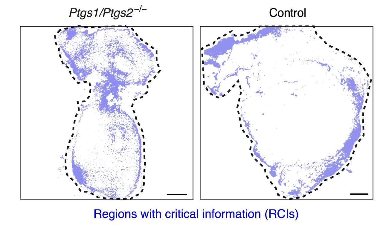 Open access visualization of Microscopy, RCIs