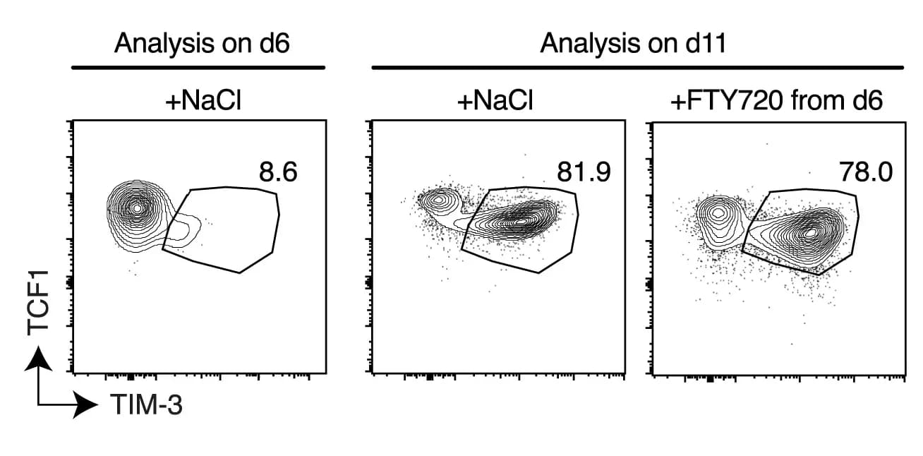 Open access visualization of Scatter Plot, TIM-3+ Effector CD8+ T Cells, Tumors