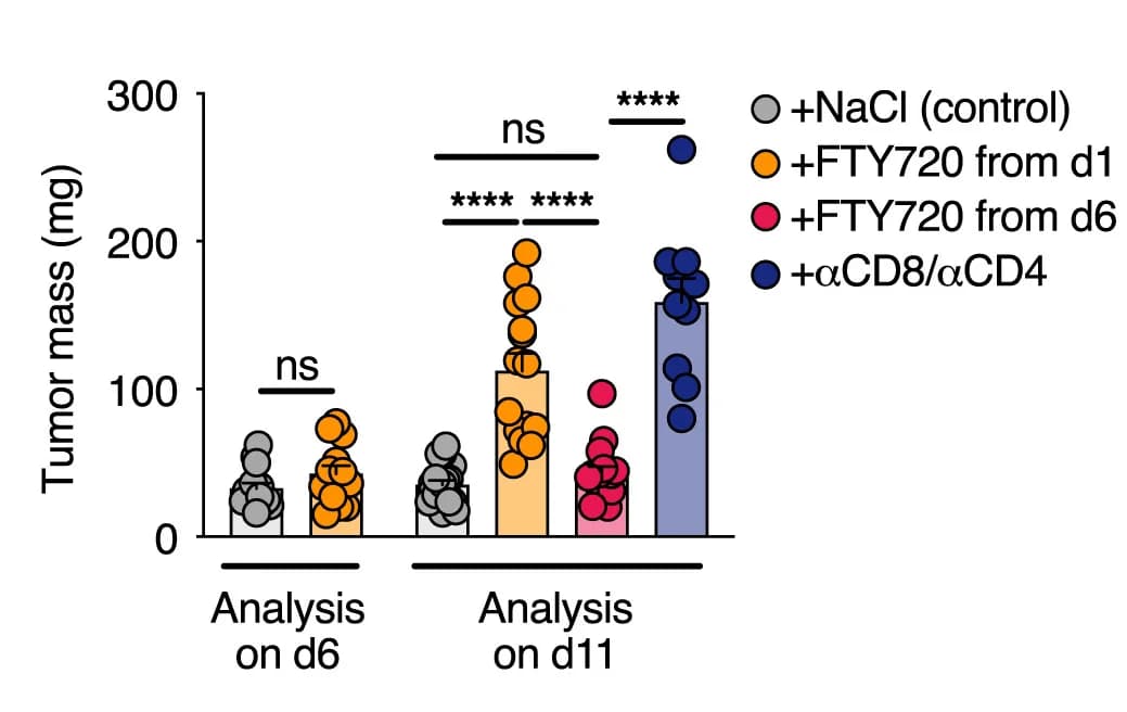 Open access visualization of Bar Plot, Scatter Plot, Tumor Mass, T Cell Depletion