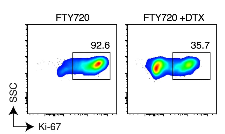 Open access visualization of Scatter Plot, Ki-67 expression