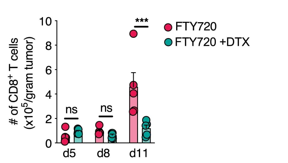 Open access visualization of Scatter Plot, Error Bars, CD8+ T Cells
