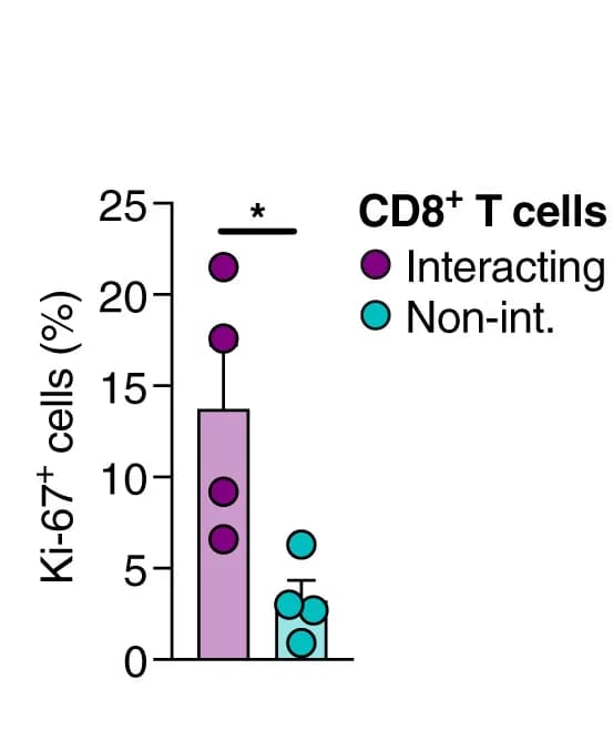 Open access visualization of Bar Plot, Error Bars, Ki-67 Expression, CD8+T Cells, cDC1-CD8+T Cell Clusters