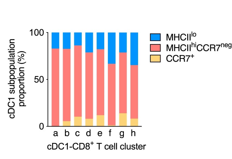 Open access visualization of Stacked Bar Plot, cDC1 Subpopulations, CD8+T Cells, Cell Clusters, Tumor