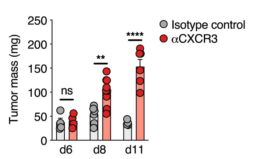Open access visualization of Bar Plot, Error Bars, Scatter Plot, Tumor Growth, CD8+ T Cell