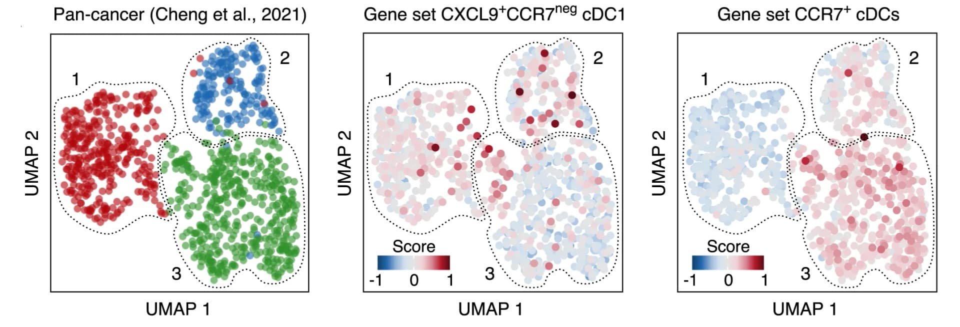 Open access visualization of UMAP, Scatter Plot, UMAP Dimensionality Reduction, Leiden Clustering, Gene Signature Expression