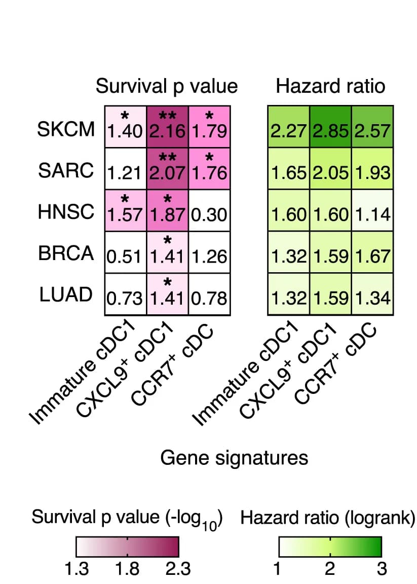 Open access visualization of Heatmap, Survival p Value, Hazard Ratio, Gene Signatures
