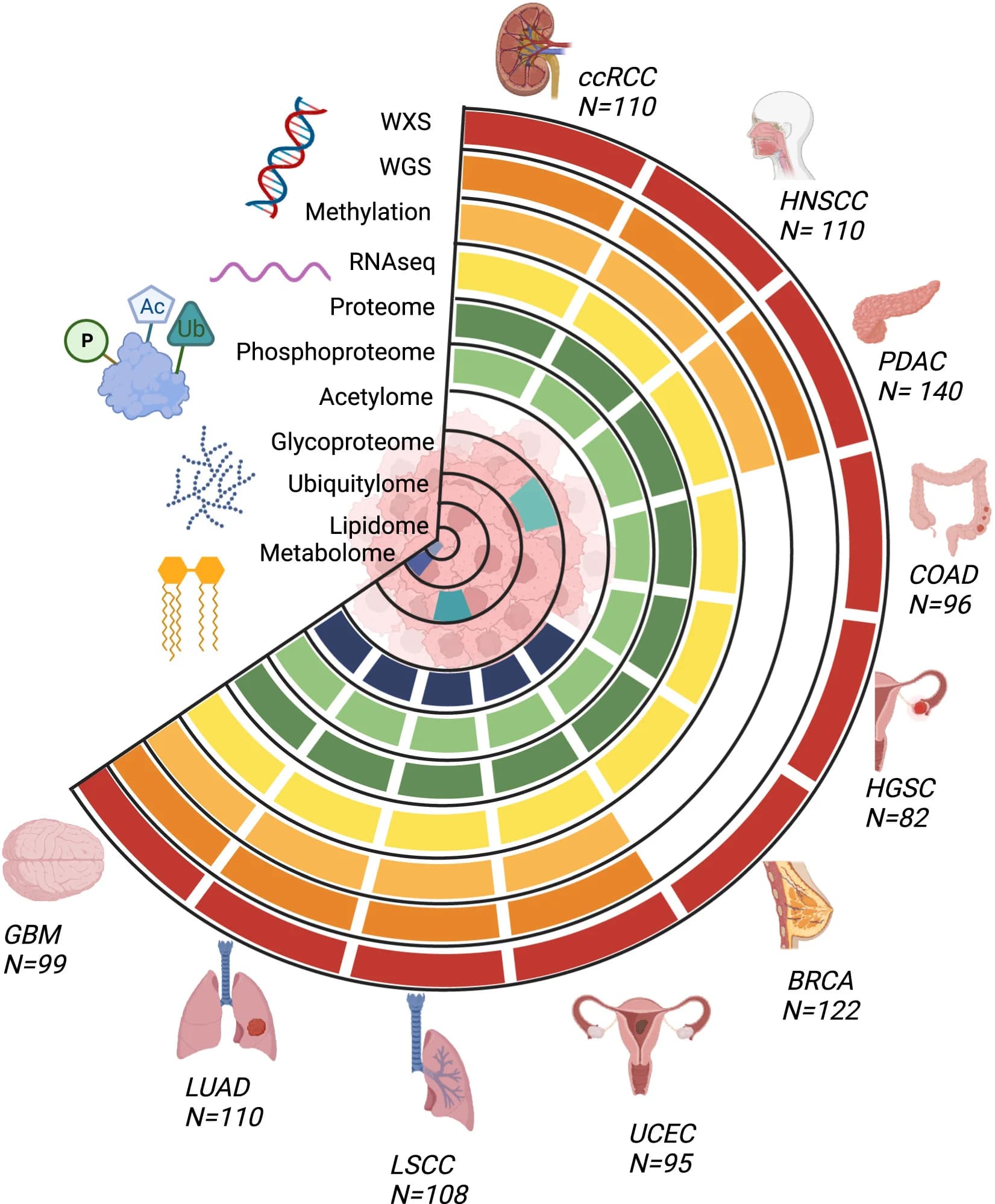 Open access visualization of Bar Plot, Pie Chart, Molecular Data Types, CPTAC, Pan-Cancer Cohort