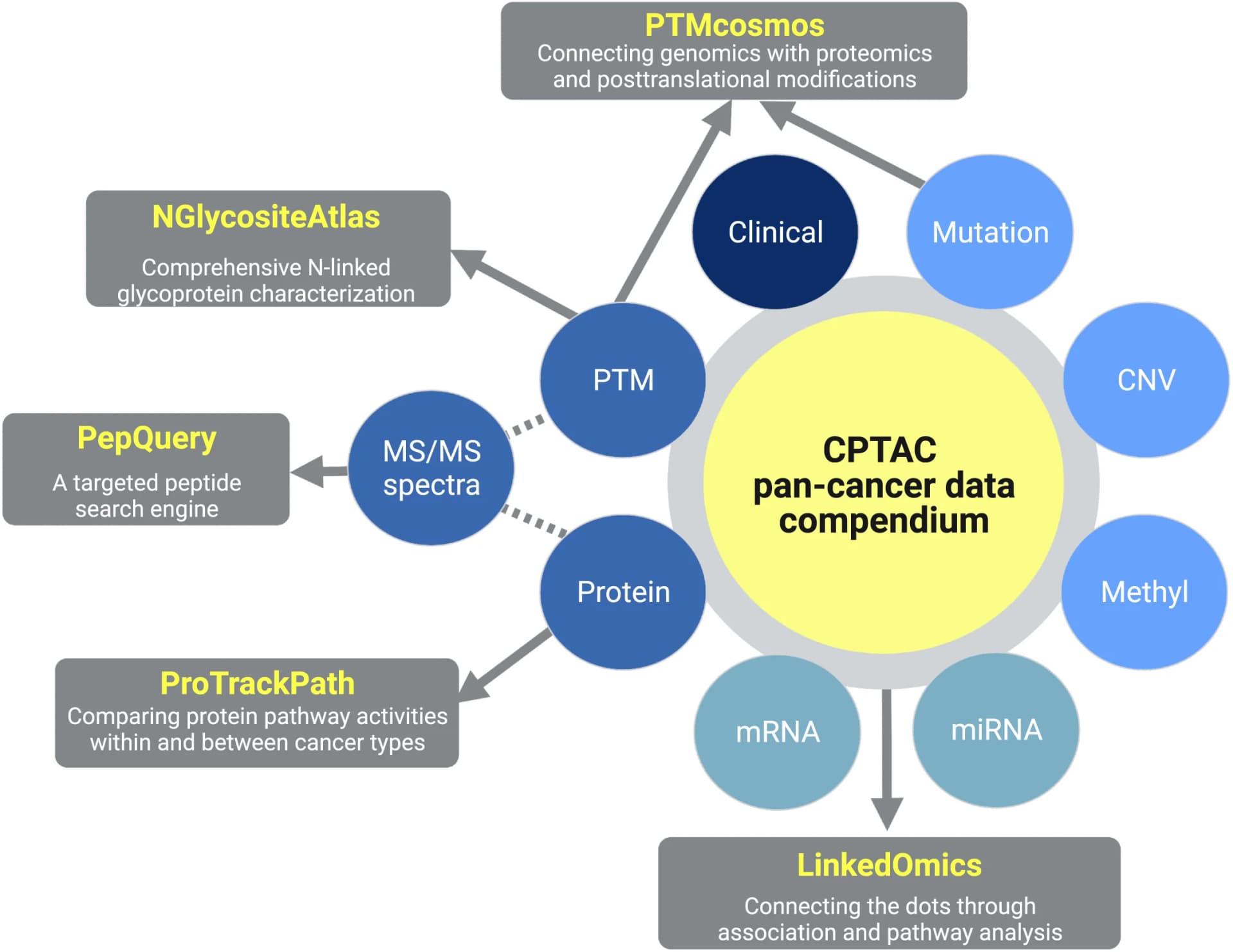 Open access visualization of Workflow, Flowchart, Illustration, Proteogenomic Data, Visualization