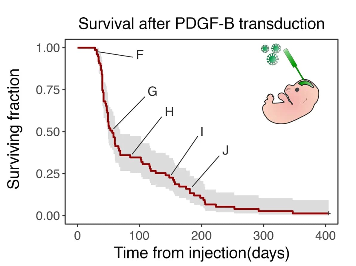Open access visualization of Survival Curve, Line Step, Error Bars, Mice, Tumor