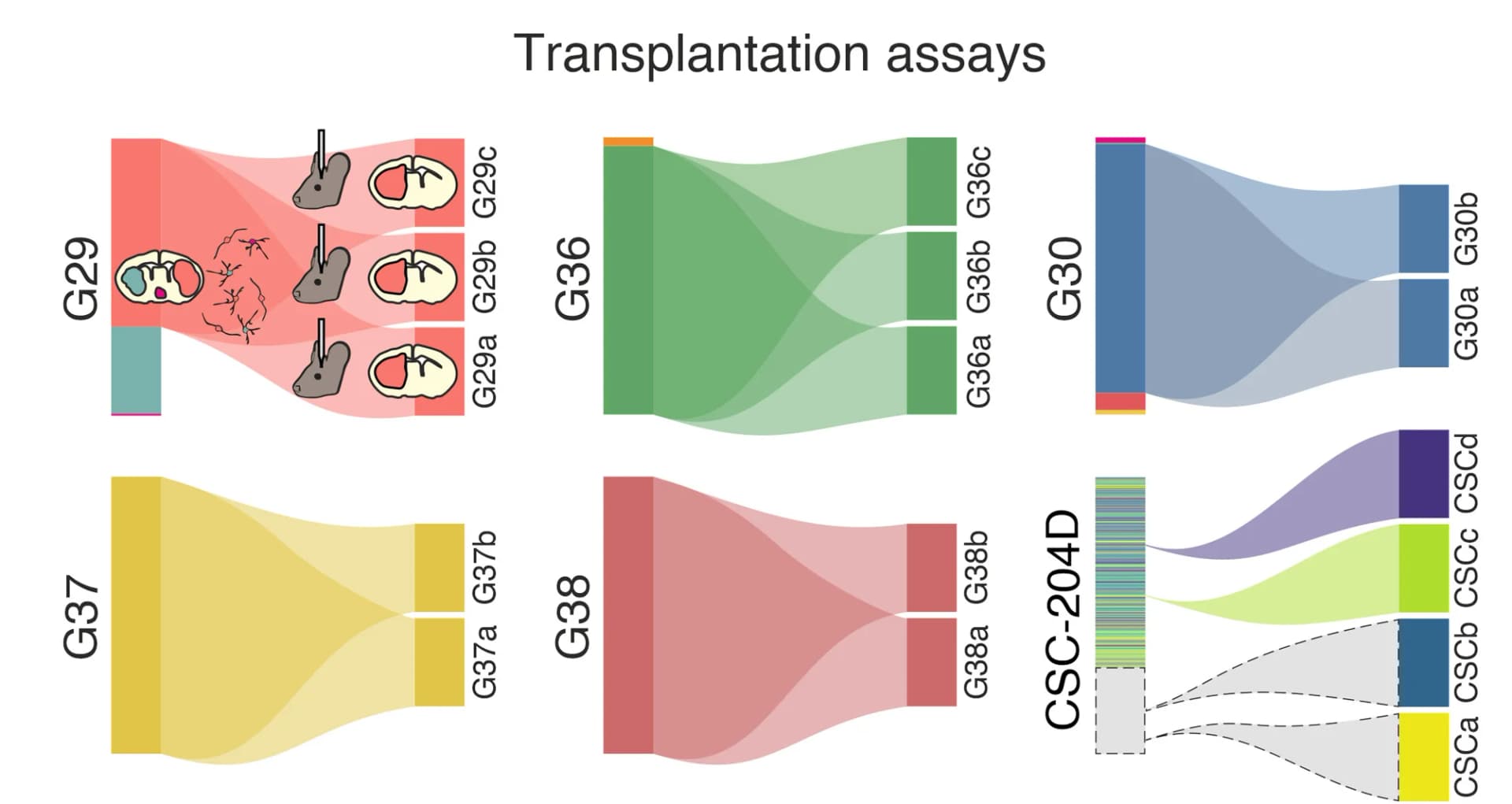 Open access visualization of Sankey, Alluvial Plots, Clonal Composition, Primary Tumors, Secondary Tumors