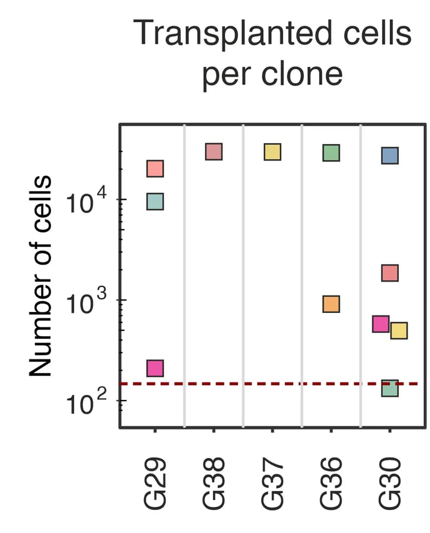 Open access visualization of Scatter Plot, Cells Transplanted, Transplantation Assays, Clonal Lineage, Tumor Cells