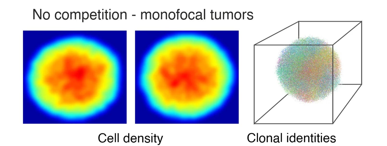 Open access visualization of Heatmap, 3D Plot, Spatial Analysis, Tumor Populations, Cell-Cell Competition