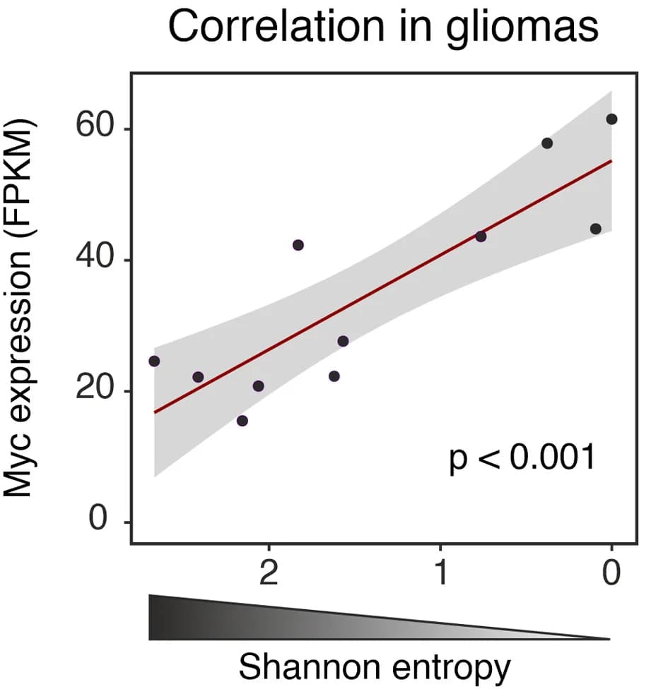 Open access visualization of Scatter Plot, Regression Plot, Myc Expression, Shannon Entropy, Gliomas