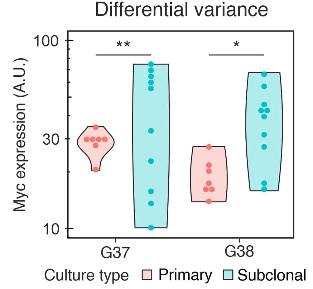 Open access visualization of Violin Plot, Box Plot, Scatter Plot, QPCR Analysis, Myc Expression