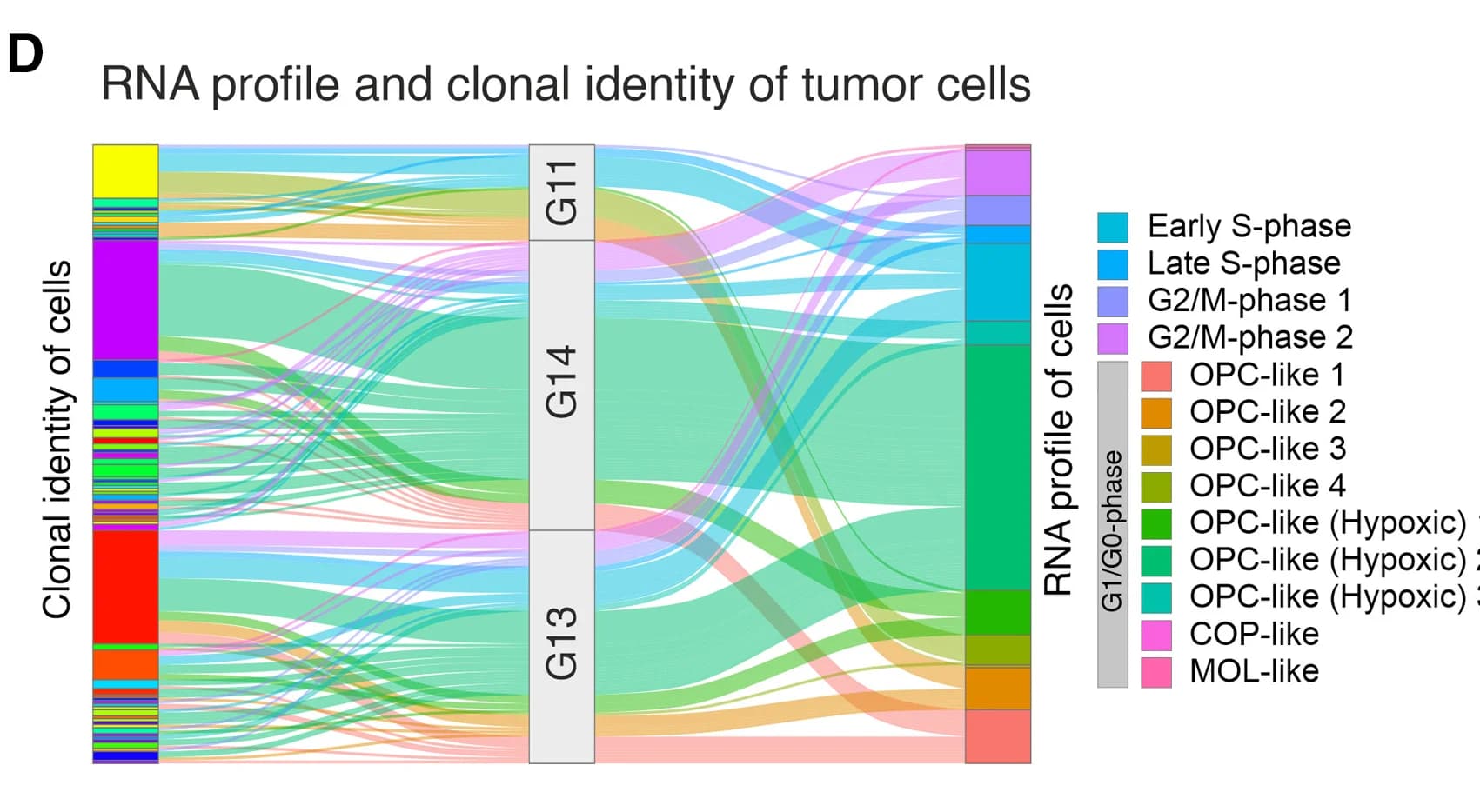 Open access visualization of Sankey, Differential Gene Expression, Large Clones, Small Clones, Gene Ontology