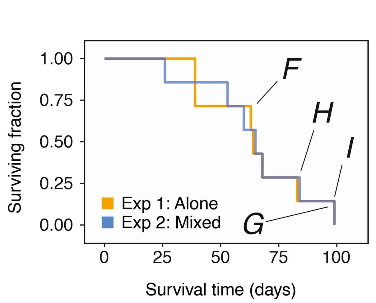 Open access visualization of Line Step, Survival Curve, Survival Curves, Mice, Transplant