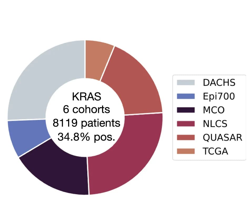 Open access visualization of Donut Chart, KRAS Ground Truth Data