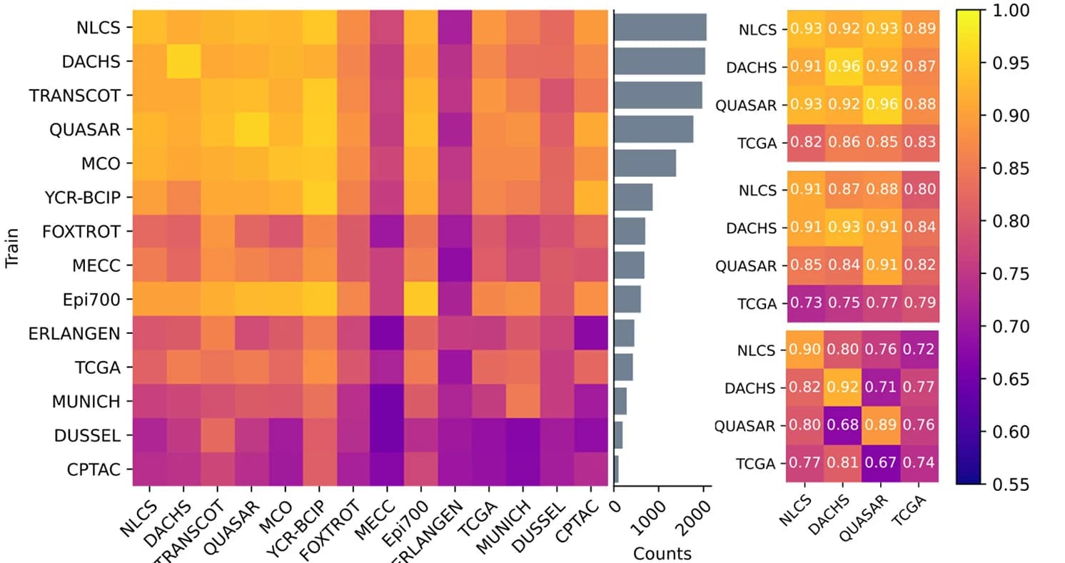 Open access visualization of Heatmap, Bar Plot, AUROC Scores, Single Cohort Experiments, CRC Cohorts