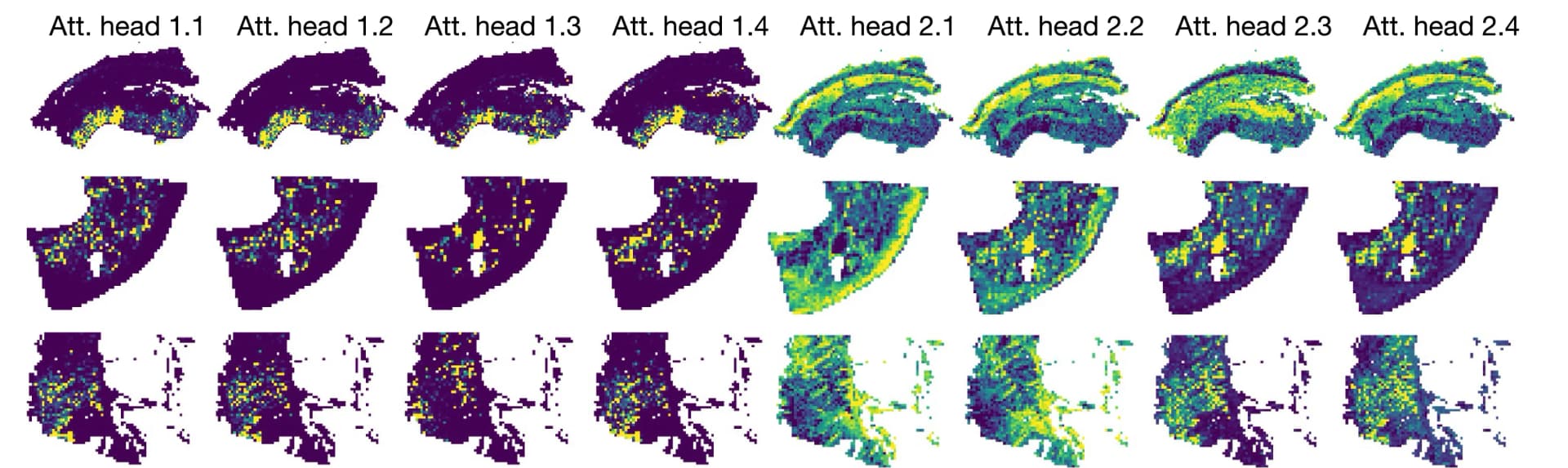 Open access visualization of Heatmap, Attention Heatmaps, Model Weights, Heads