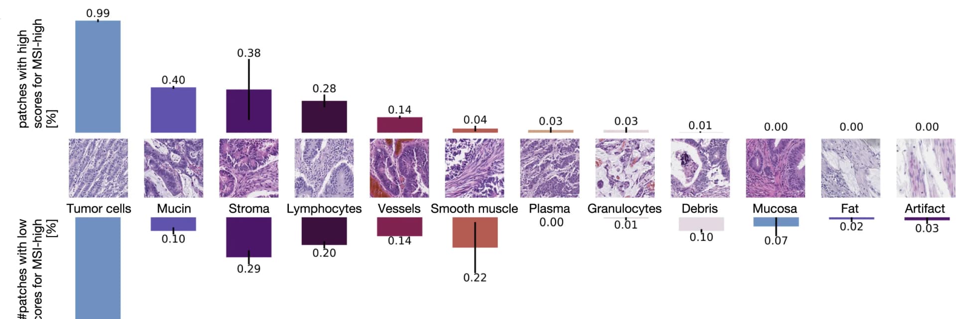 Open access visualization of Bar Plot, Error Bars, Microscopy, Histological Patterns, Attention Regions