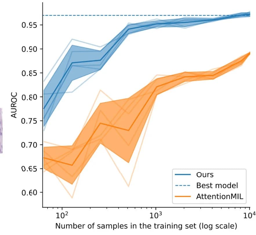 Open access visualization of Line Plot, Error Bars, AUROC Scores, Patients, Training