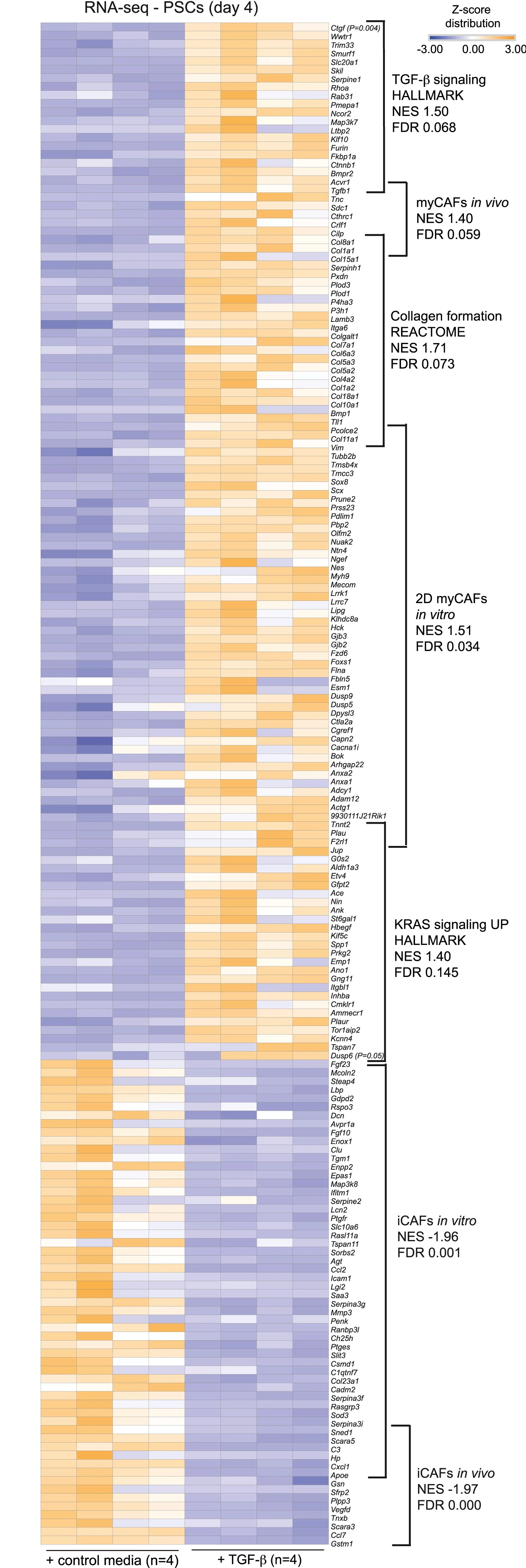 Open access visualization of Heatmap, RNA-seq, Pancreatic Stellate Cells, PSCs, Matrigel
