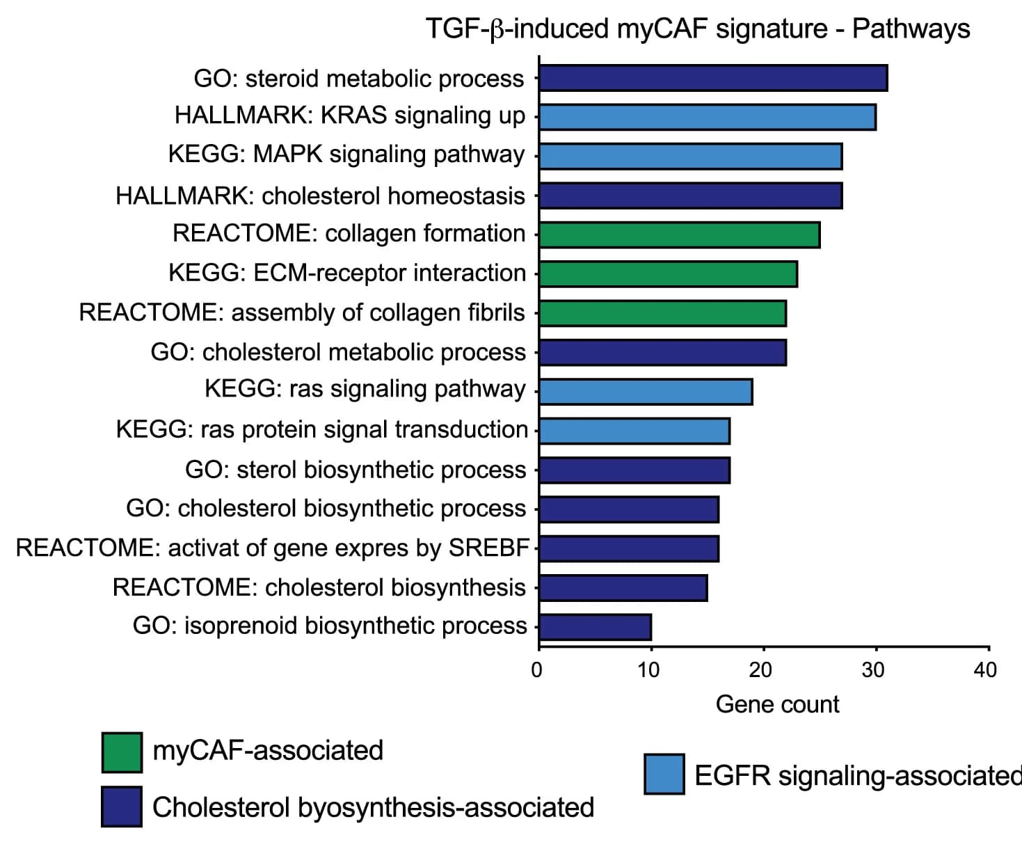 Open access visualization of Bar Plot, Pathways, Enrichment Analysis, False Discovery Rate, TGF-