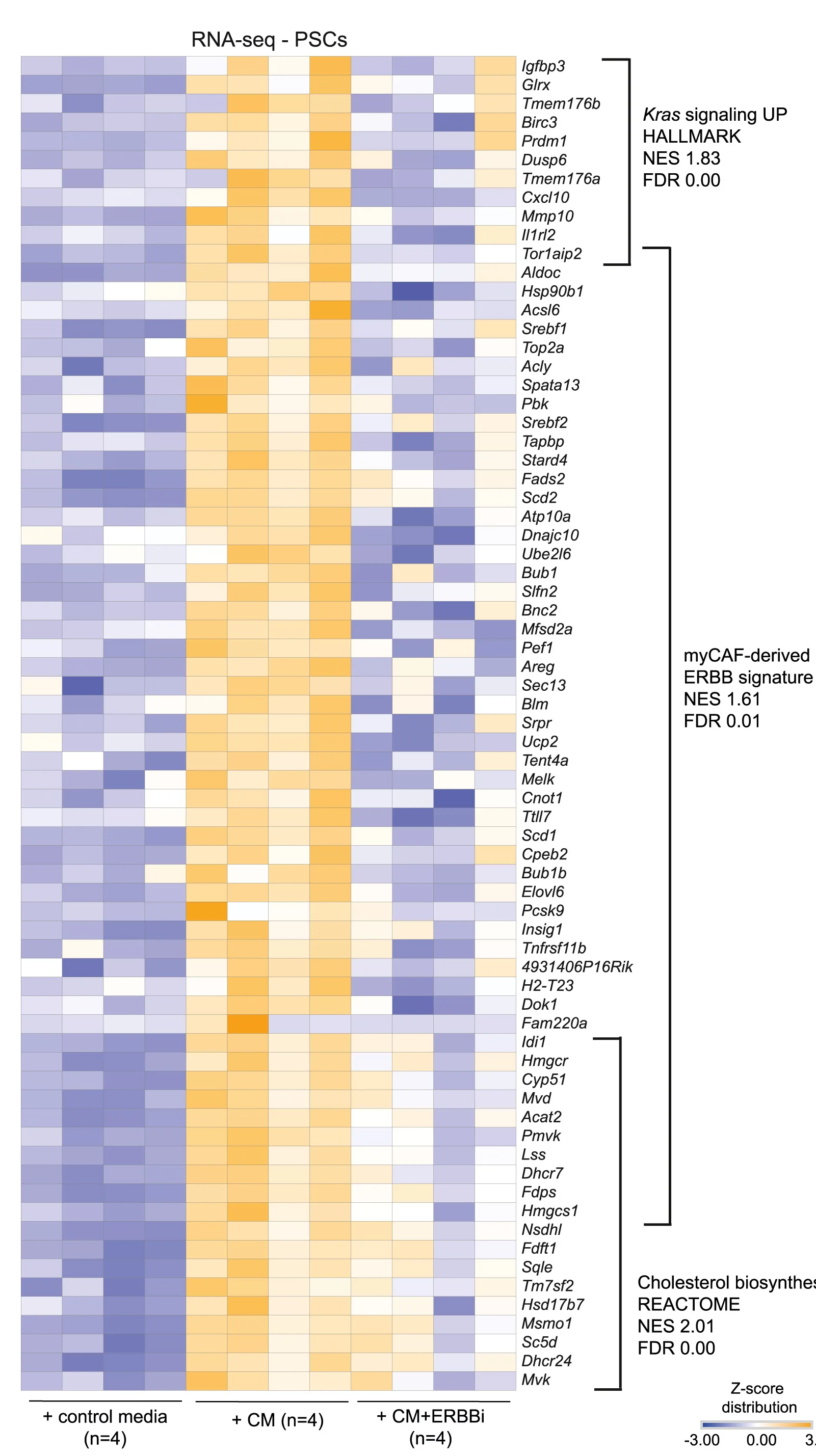 Open access visualization of Heatmap, RNA-seq, PSCs, Matrigel, Control Media