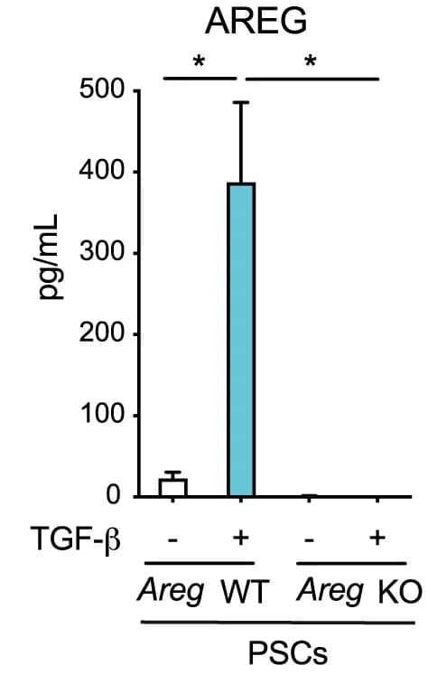 Open access visualization of Bar Plot, Error Bars, ELISA, AREG, Murine PSCs