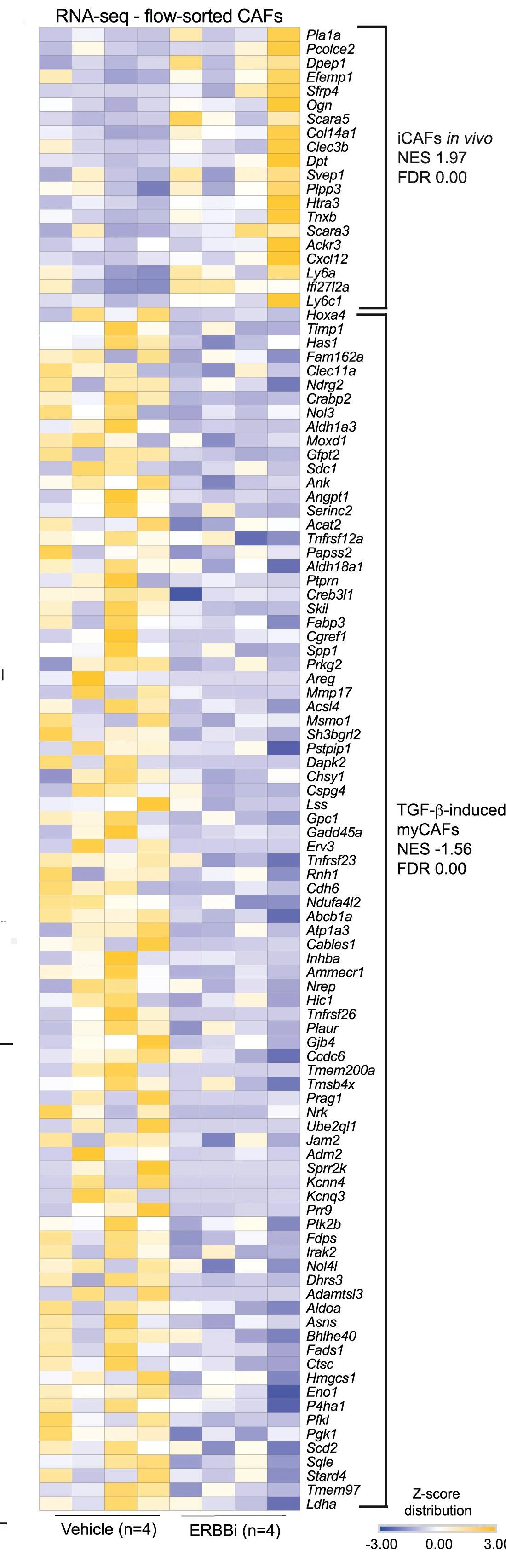 Open access visualization of Heatmap, RNA-seq, CAFs, Flow Sorting, ERBBi