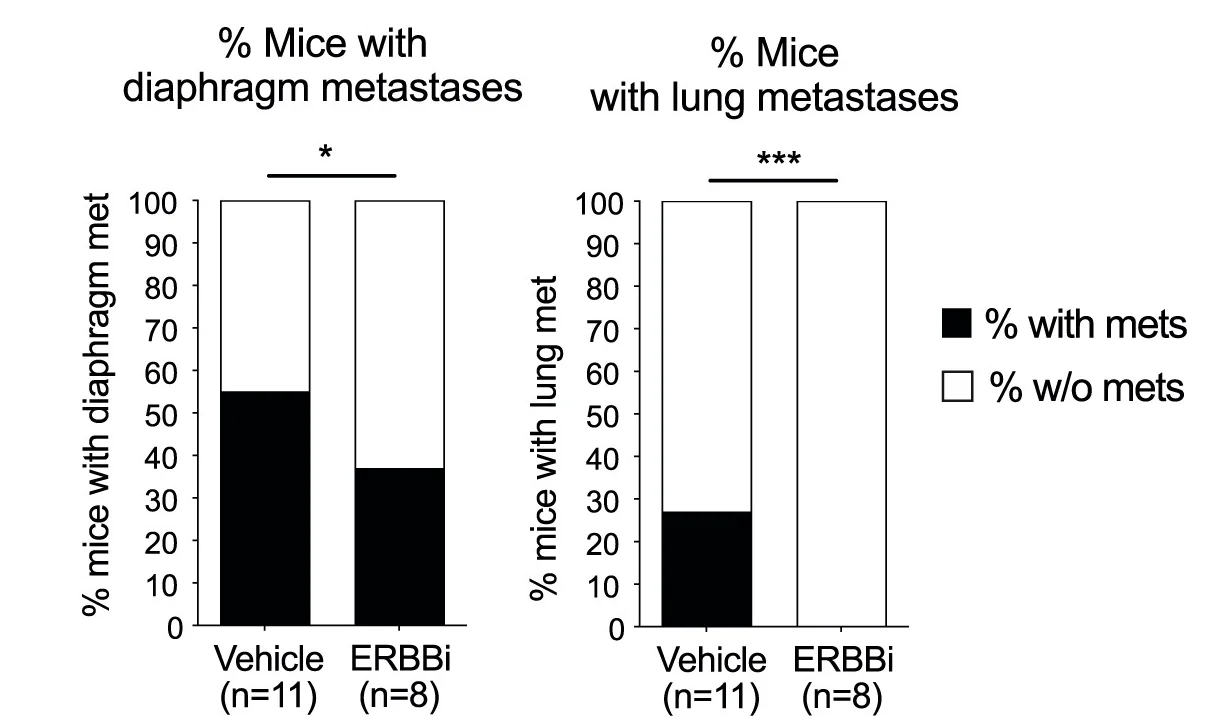 Open access visualization of Stacked Bar Plot, Vehicle, ERBBi, Mouse Models, PDAC