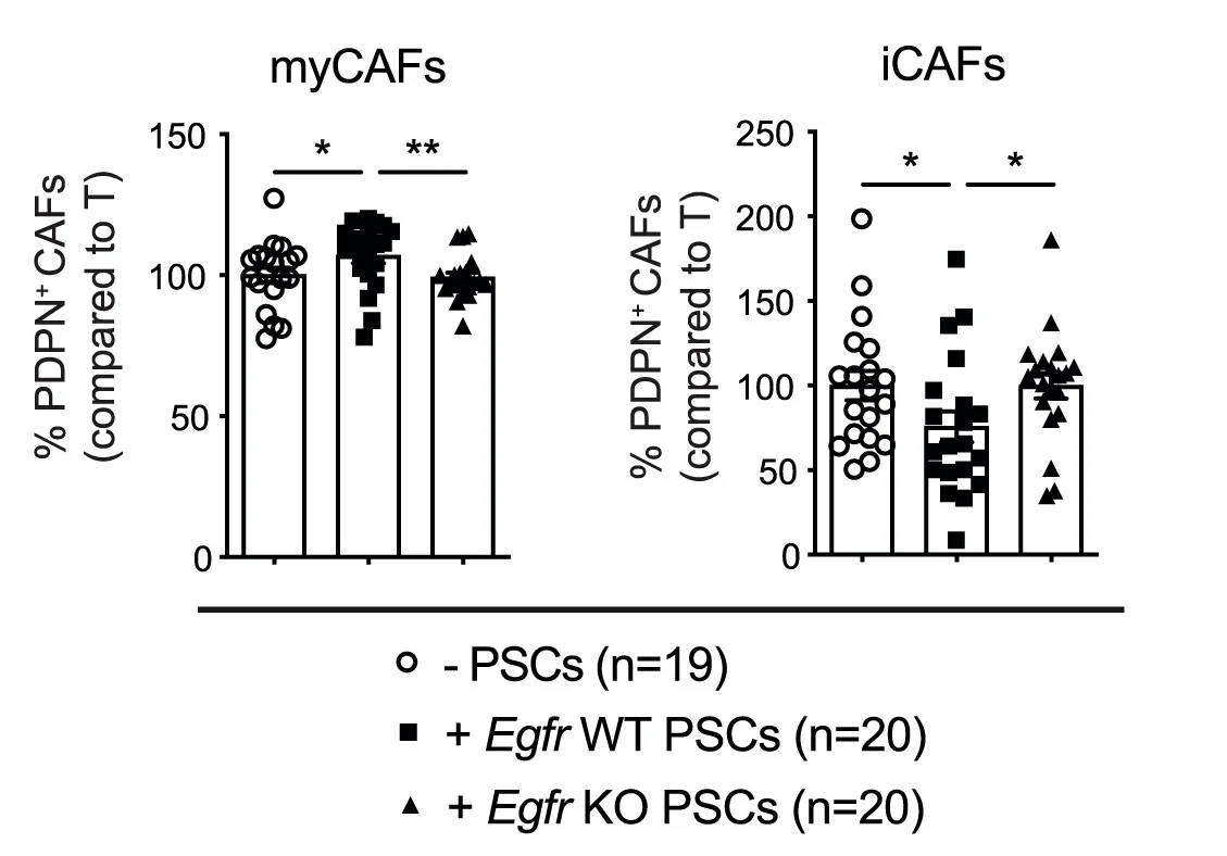 Open access visualization of Bar Plot, Error Bars, Scatter Plot, Flow Cytometry, myCAFs