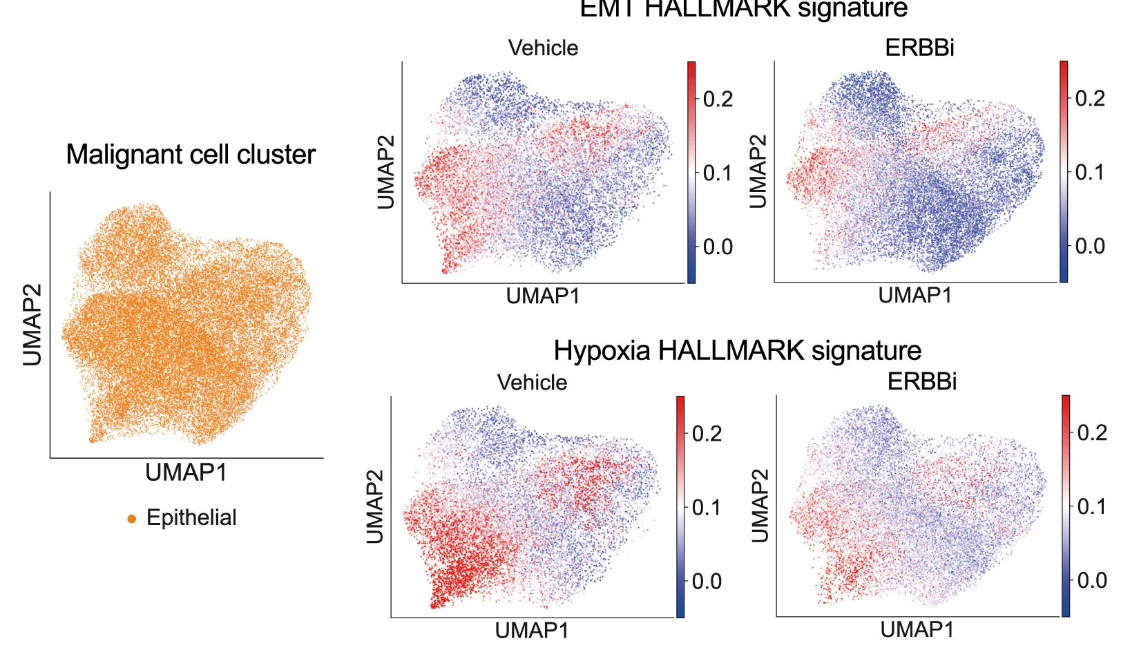 Open access visualization of UMAP, Scatter Plot, UMAP Plot, Malignant Cells, Epithelial Cells