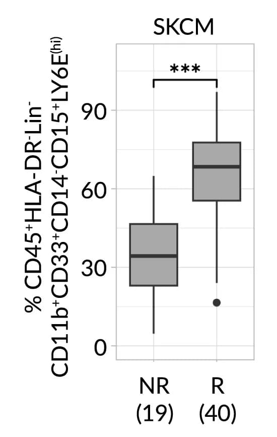 Open access visualization of Box Plot, Ly6E(hi) Neutrophils, Non-Small Cell Lung Cancer, Skin Cutaneous Melanoma, Flow Cytometry