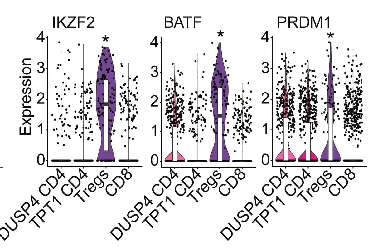 Open access visualization of Violin Plot, Box Plot, Scatter Plot, Transcription Factors, Treg