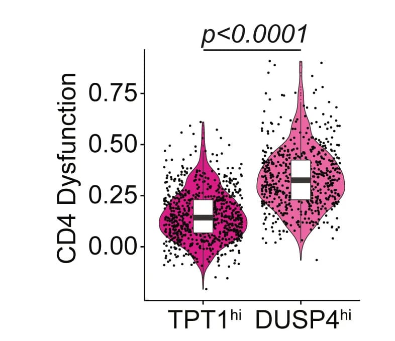 Open access visualization of Violin Plot, Box Plot, Scatter Plot, CD4 T Cells, Dysfunction