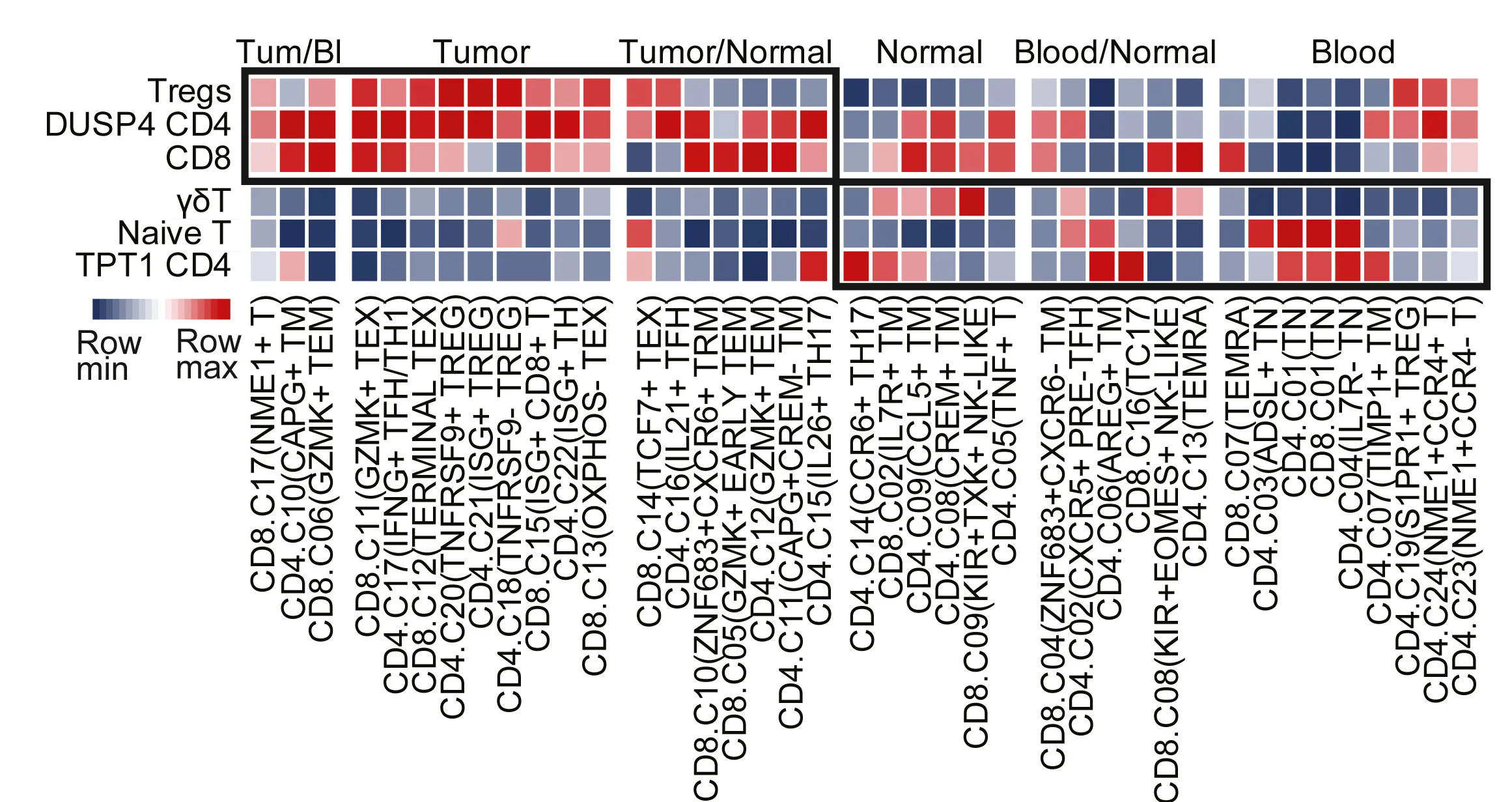 Open access visualization of Heatmap, GSEA, Neuroblastoma, Immune Cells, Gene Signatures