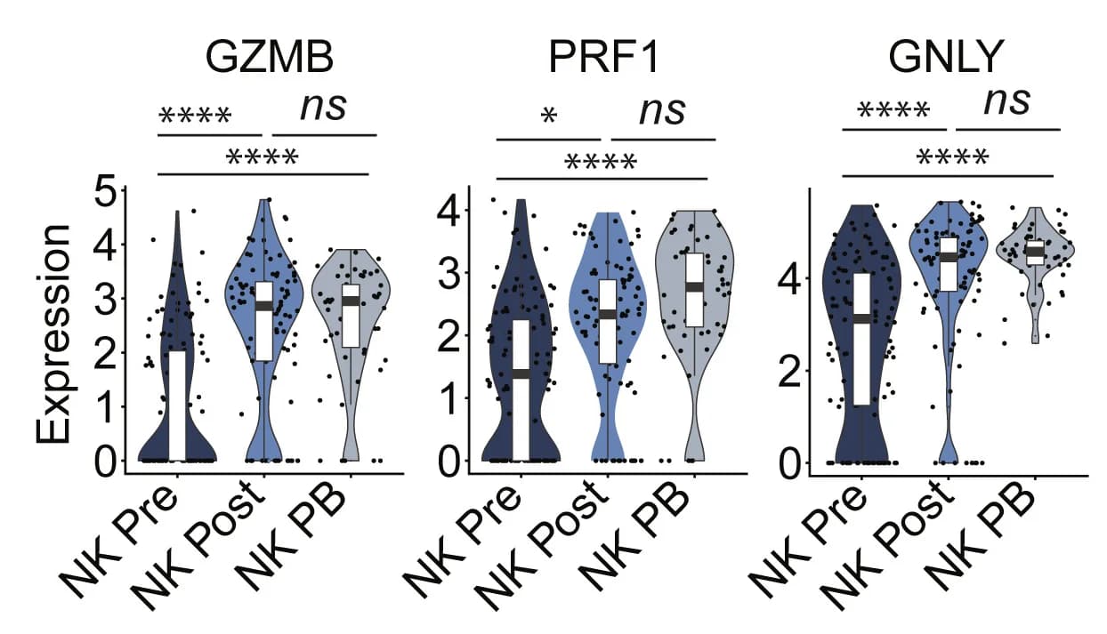Open access visualization of Violin Plot, Box Plot, Scatter Plot, Cytotoxic Genes, NK Cells