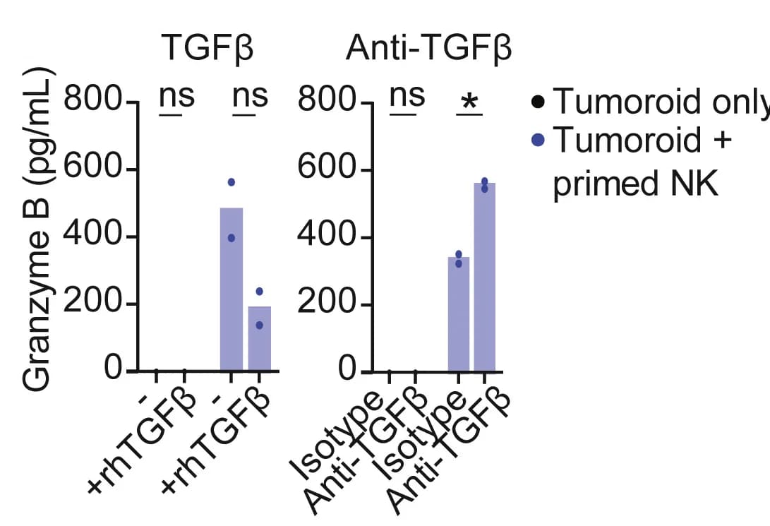 Open access visualization of Bar Plot, Scatter Plot, Multiplex Immunoassay, Supernatant