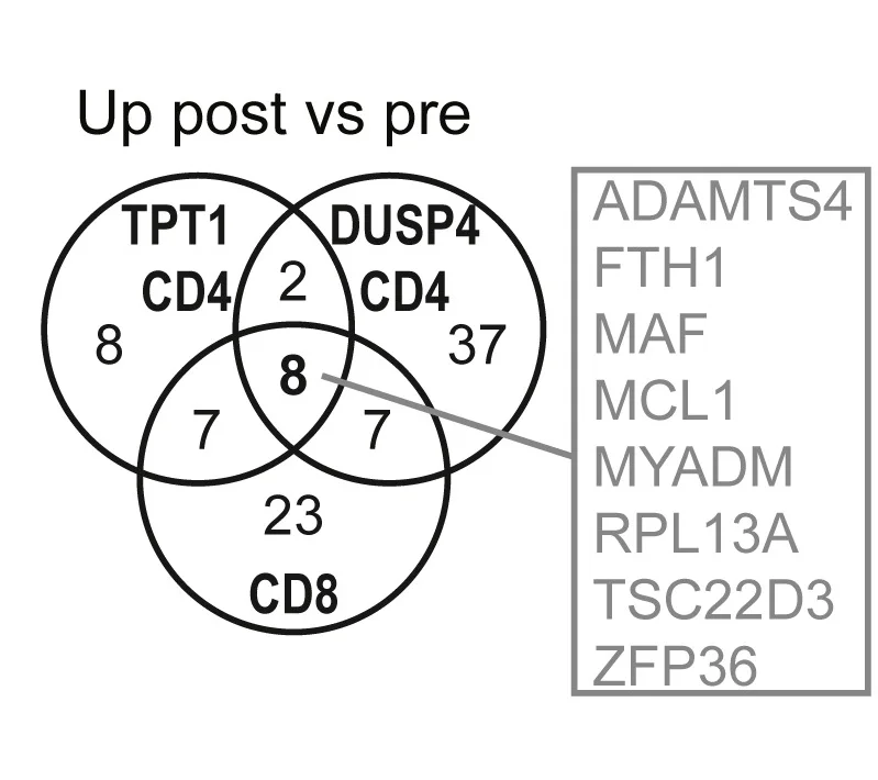 Open access visualization of Venn Diagram, Upregulated Genes, CD4 T Cells, CD8 T Cells, Post-Treatment