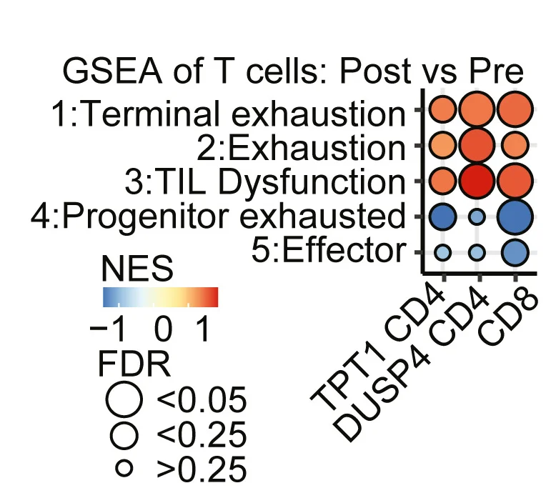 Open access visualization of Bubble Plot, Heatmap, GSEA, Exhaustion Signatures, Effector Signatures