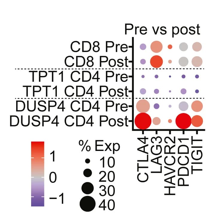 Open access visualization of Bubble Plot, Heatmap, Dotplot, Immune Checkpoint Receptor Genes, CD4 T Cells