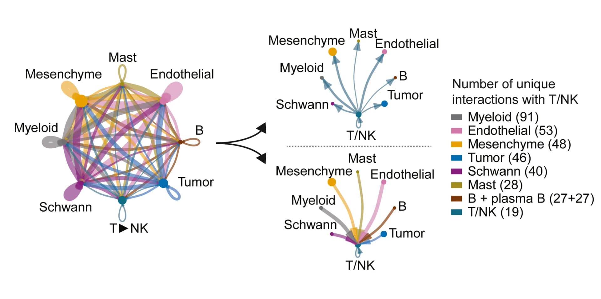 Open access visualization of Network, Chord, Sankey, Pathway, Cell-Cell Communication