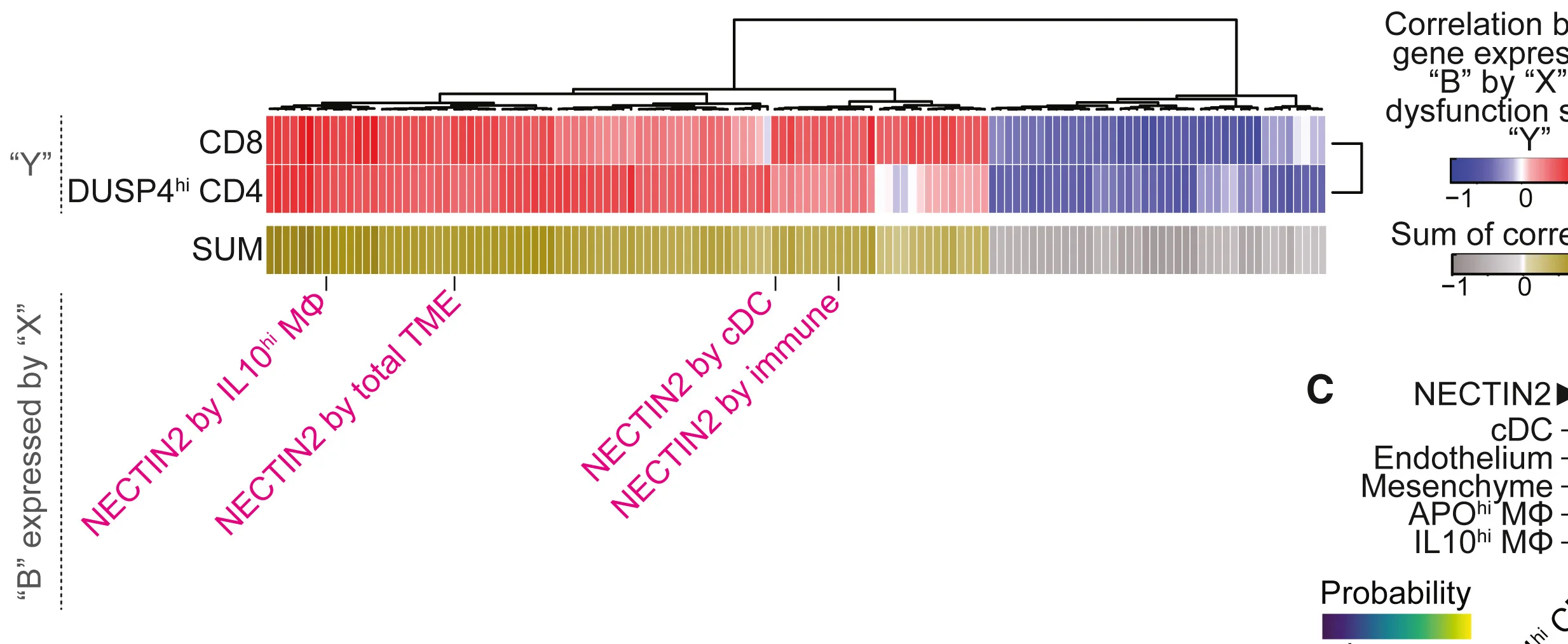 Open access visualization of Heatmap, Clustered, Pearson Correlation, Gene Expression, Dysfunction Score