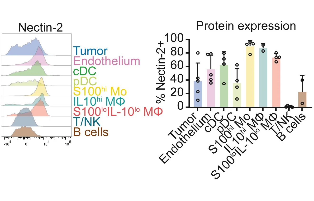 Open access visualization of Bar Plot, Error Bars, Density Plot, Flow Cytometry, Nectin-2